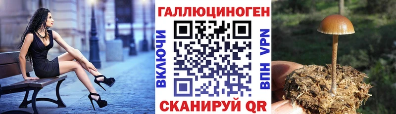 Псилоцибиновые грибы MAGIC MUSHROOMS  как найти наркотики  Сарапул 